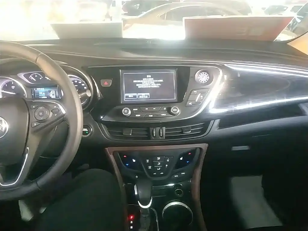 Buick Envision Plus 2018 20T 2WD Luxury фото 10