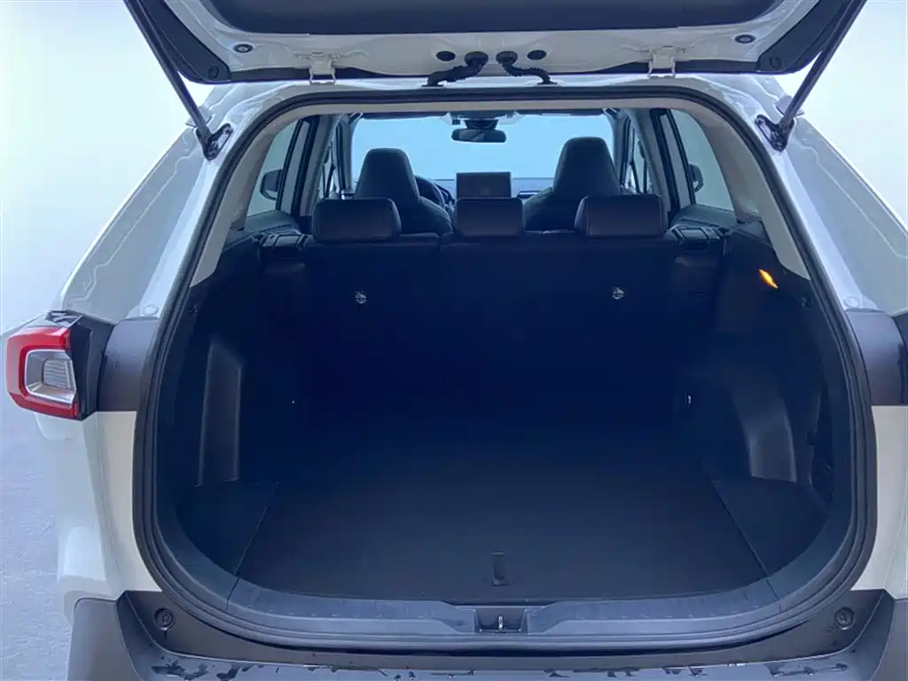 Toyota Wildlander 2022 2.0L CVT FWD Luxury Edition фото 12