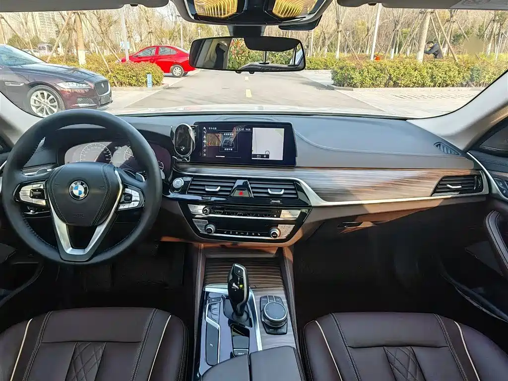 BMW 5 Series 2019 530Li Leading Luxury Package фото 13