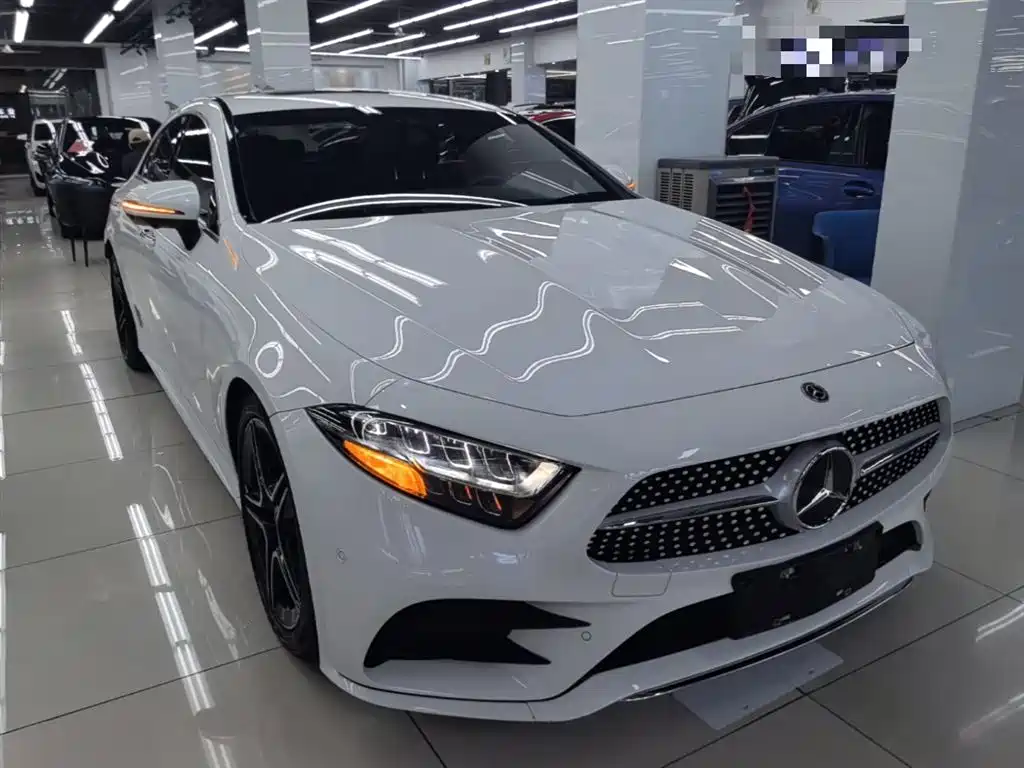 Mercedes-Benz CLS 2021 CLS 300 Luxury фото 4
