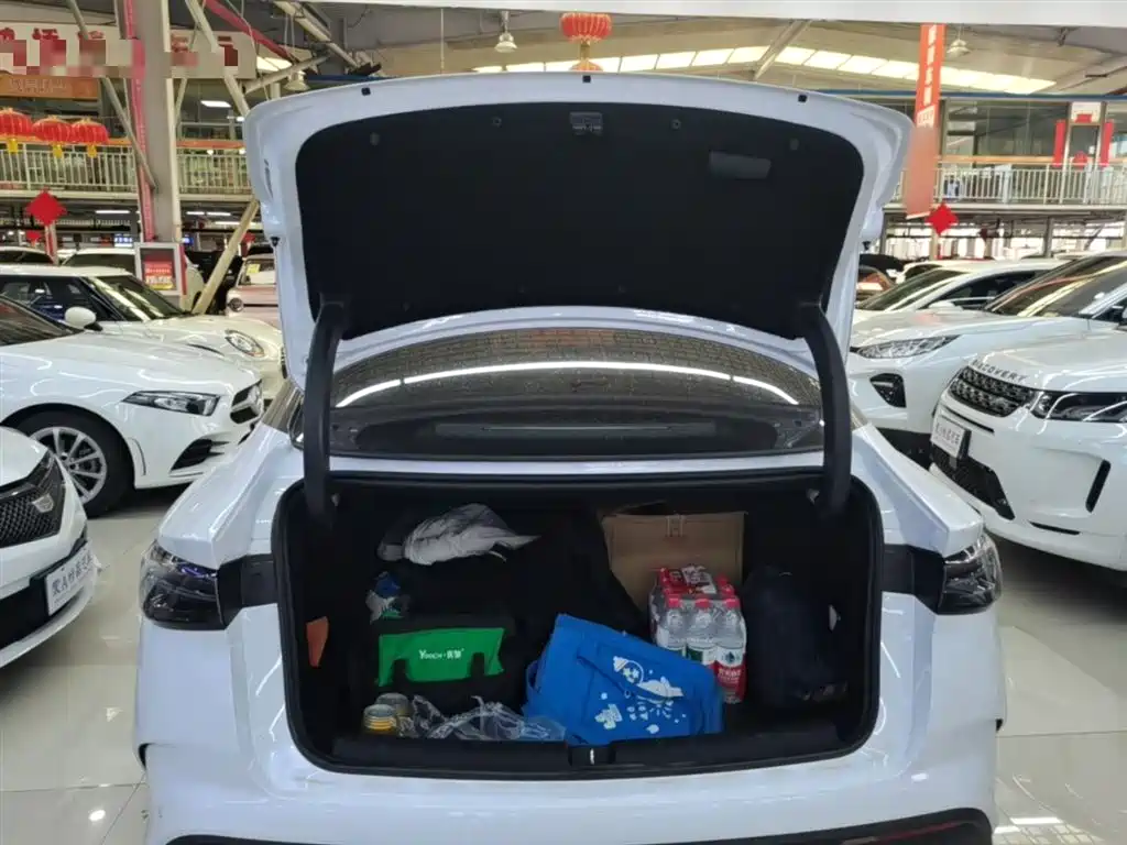 BYD Seal 06 New Energy 2024 DM-i 80KM Luxury фото 19