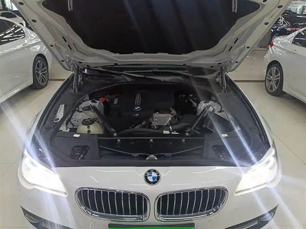 BMW 5 Series 2017 520Li Classic Edition фото 20