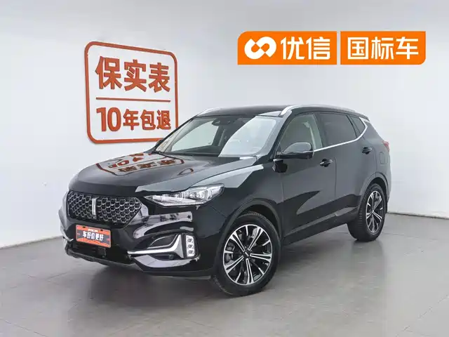  WEY Wey VV6 2021 2.0T 2WD Smart Protection+