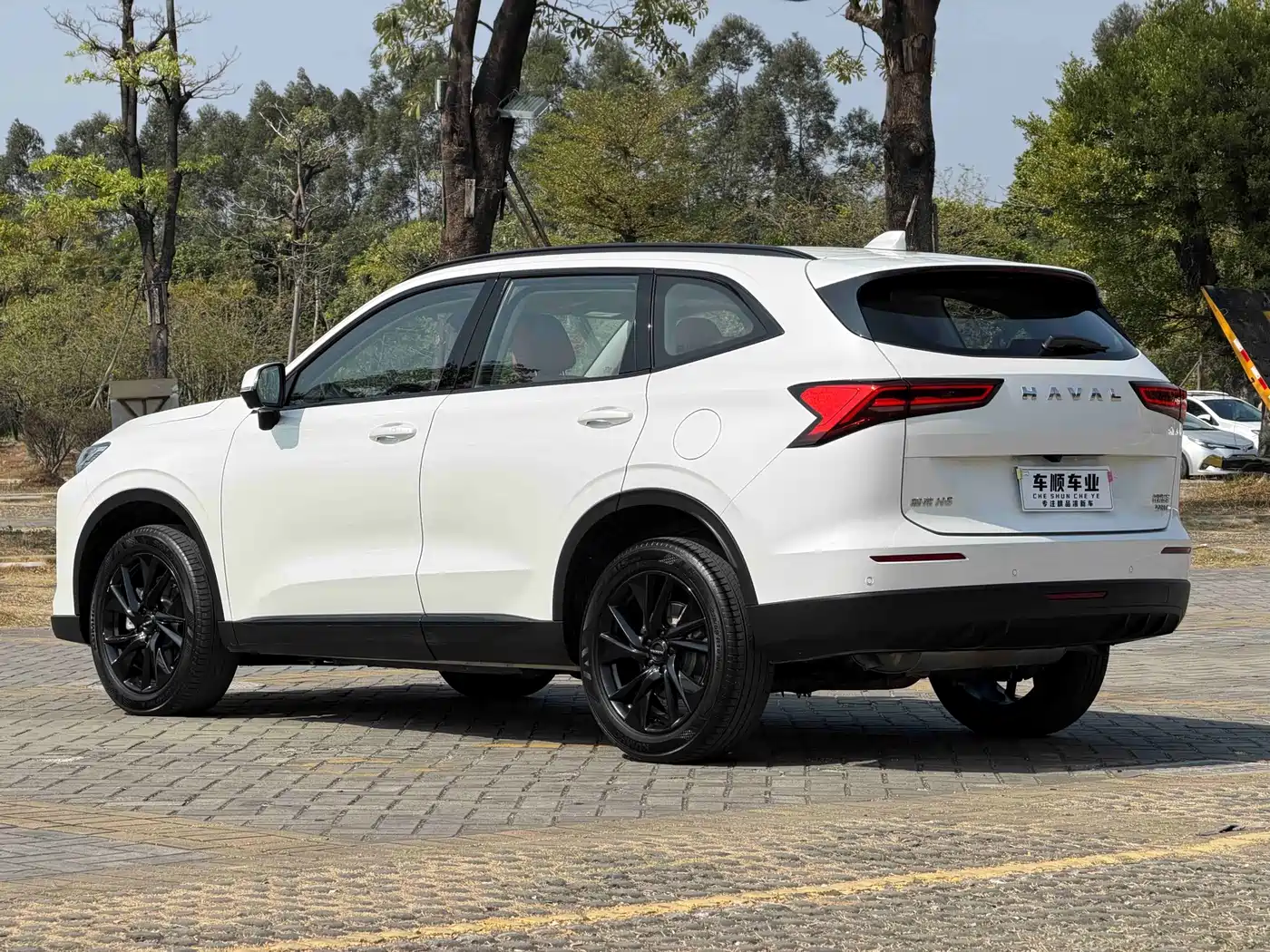 Haval H6 2025 2024 2.0T 4WD Max