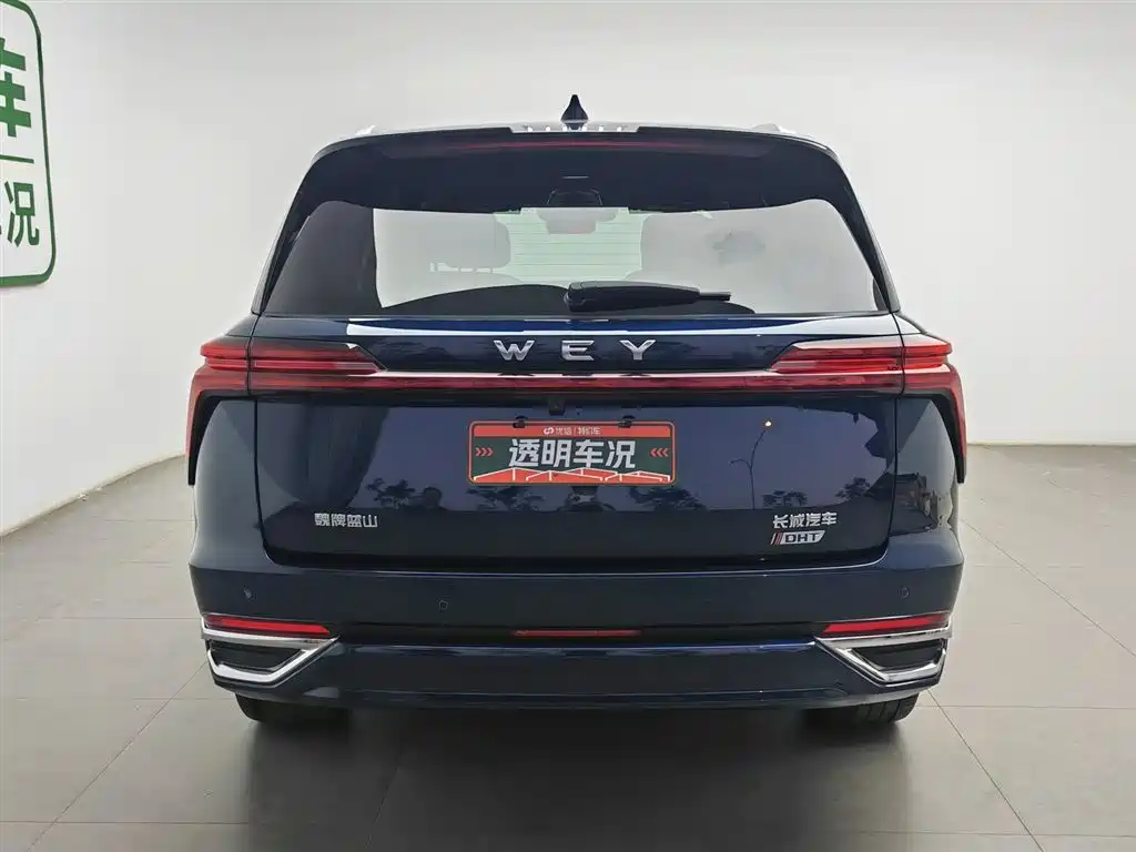 Wey Lanshan 2023 AWD Ultra Long Range Edition фото 4