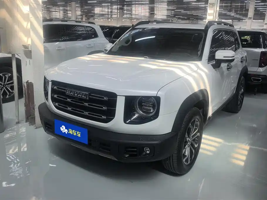 Haval Big Dog 2021 1.5T DCT 2WD Border Collie Edition