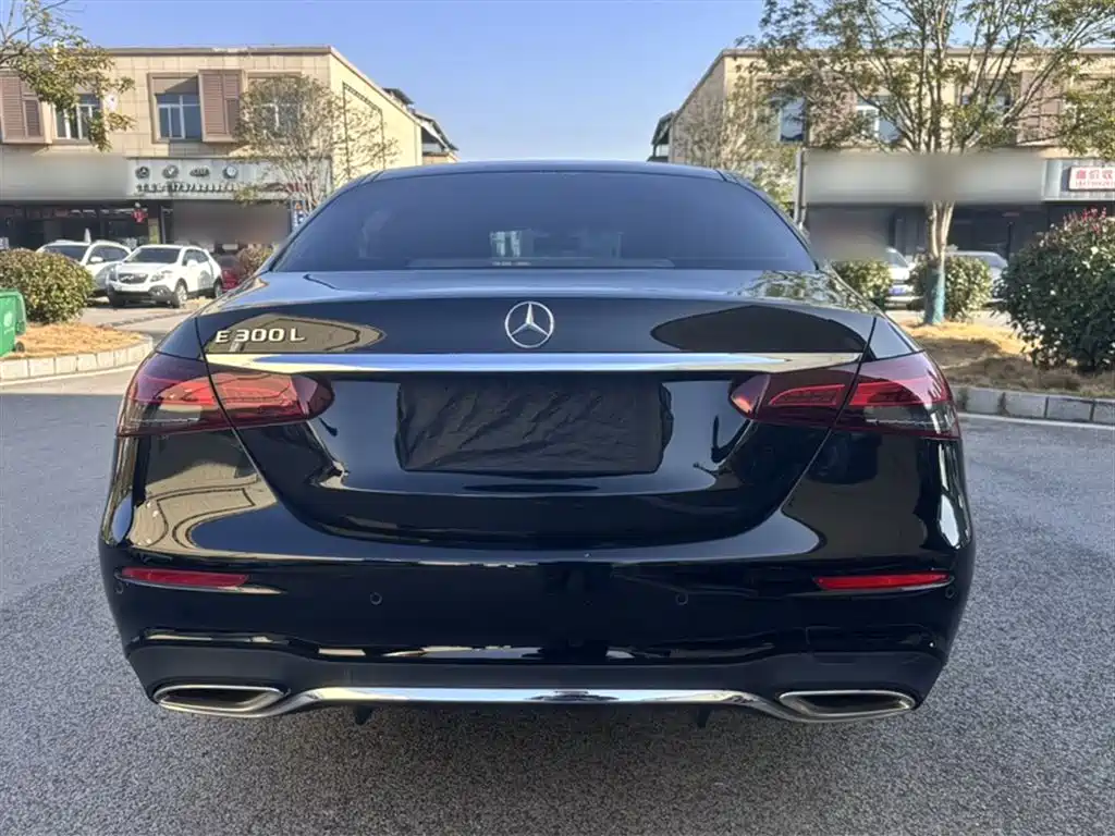 Mercedes-Benz E-Class 2023 Facelift E 300 L Sport Fashion фото 20