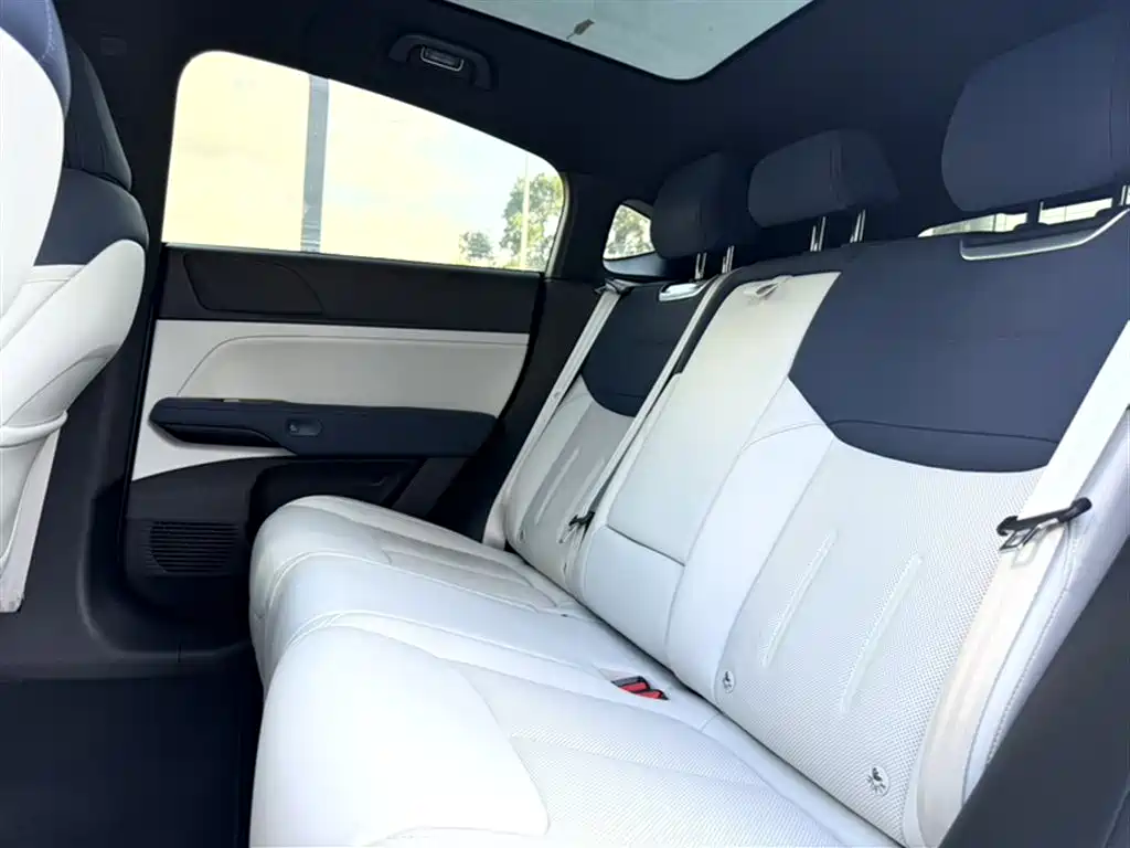 XPeng G6 2023 700 AWD Performance Max фото 15
