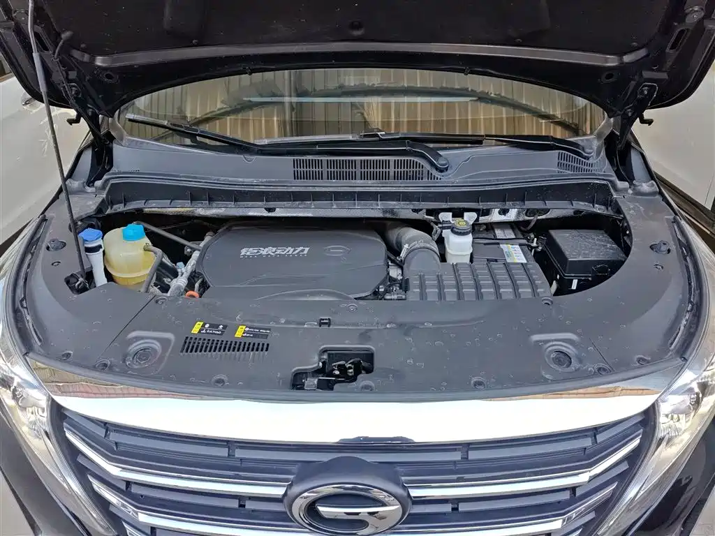 GAC Trumpchi Trumpchi M8 2023 Leading Series 390T Premium Edition фото 20