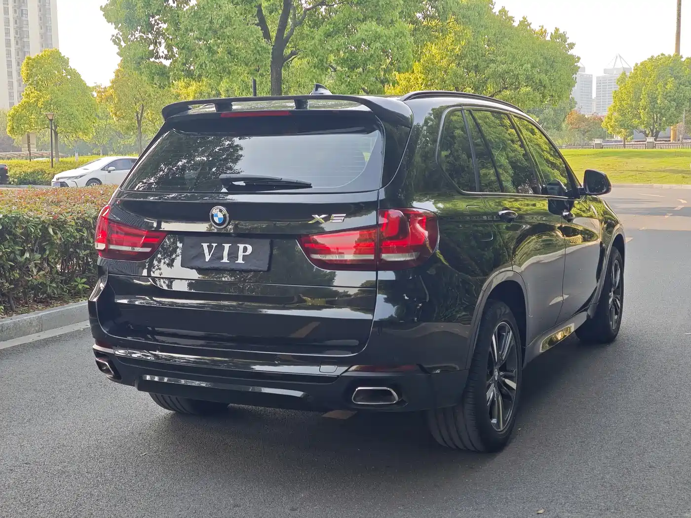 BMW X5 (Import) 2017 xDrive35i Elegance фото 21