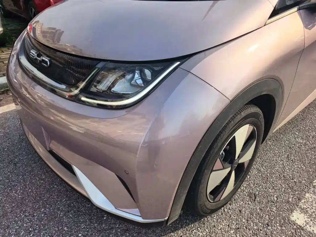 BYD Dolphin 2023 420km Fashion Edition фото 18