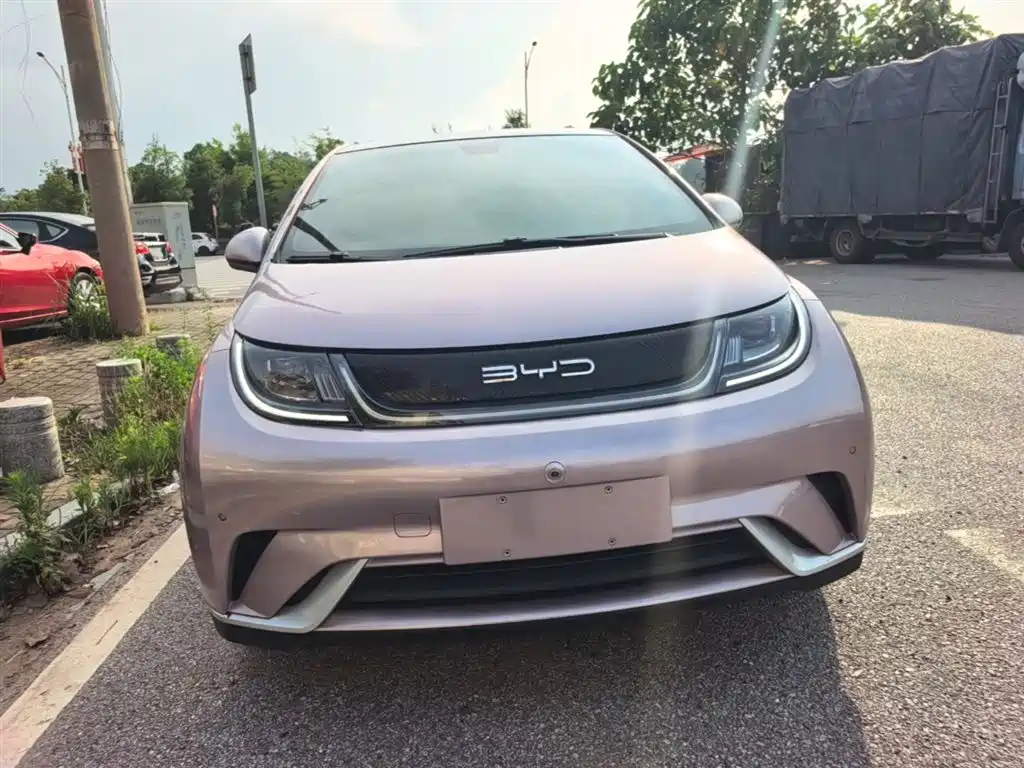 BYD Dolphin 2023 420km Fashion Edition фото 3