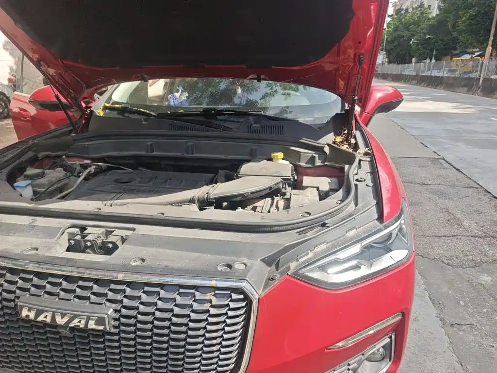 Haval F5 2020 2020 1.5T DCT i-Glam