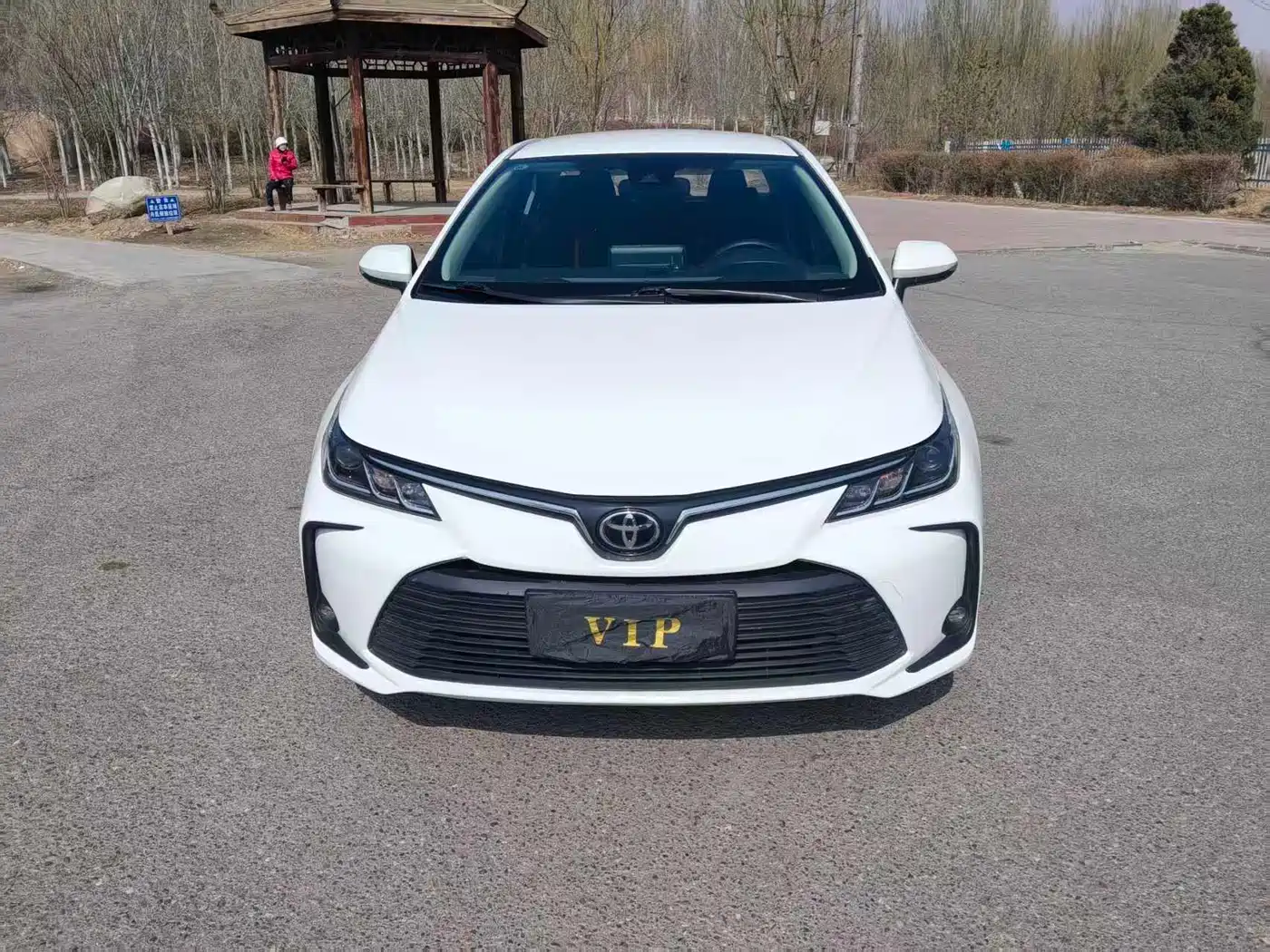 Toyota Corolla 2023 1.2T Elite Edition фото 2