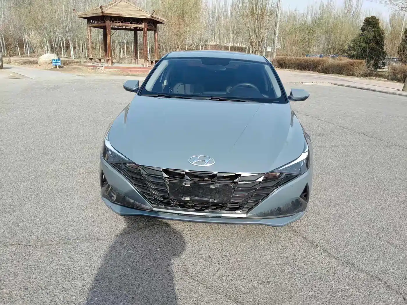 Hyundai Elantra 2021 1.5L CVT LUX Premium Edition фото 2