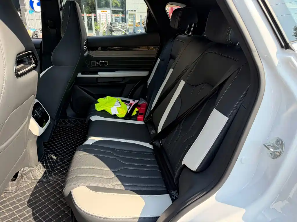 Jetour Shanhai L6 2025 2024 1.5TD DHT MAX