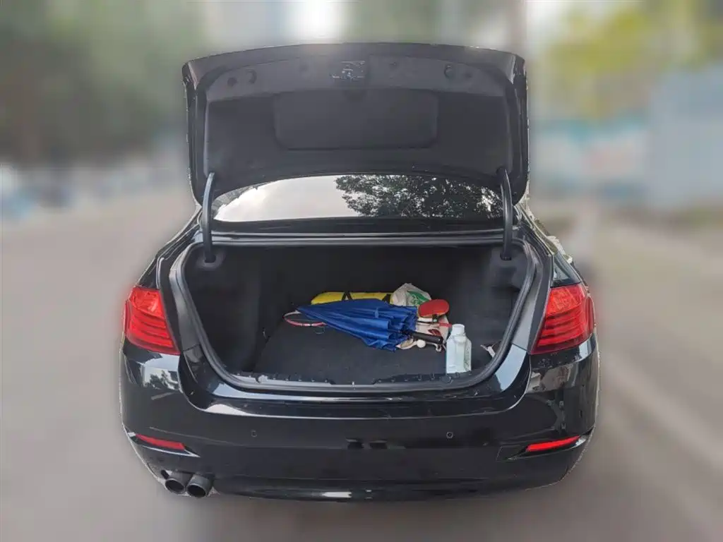 BMW 5 Series (Import) 2014 520i Classic фото 10