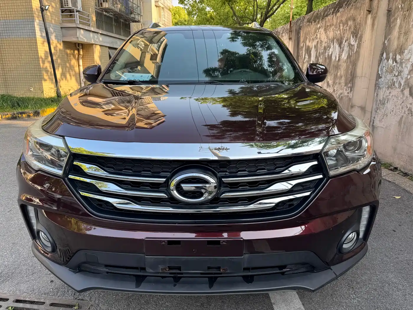 GAC Trumpchi Trumpchi GS4 2016 235T G-DCT Elite Edition фото 2