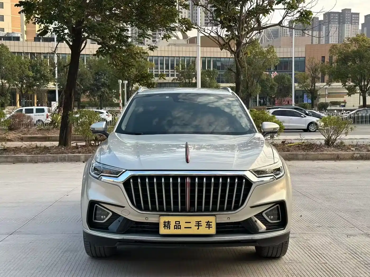 Hongqi HS5 2019 2.0T Smart Connect Enjoy 4WD Edition фото 2