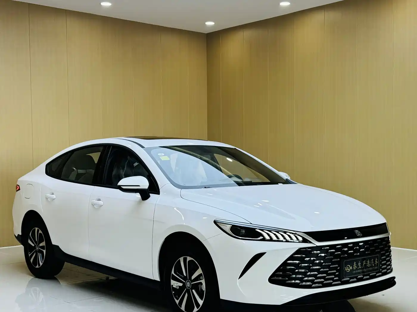 BYD Qin PLUS 2026 2026 Model DM-i 210KM Progressive Edition