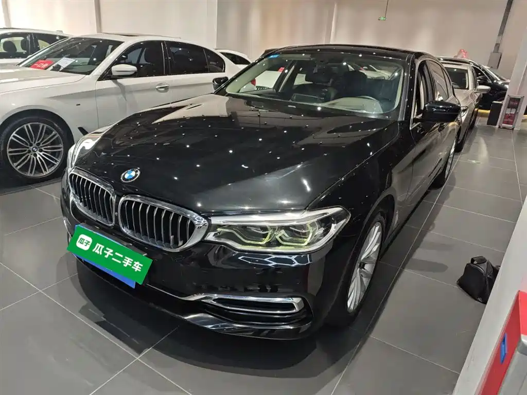 BMW 5 Series 2020 530Li Premium Luxury Package