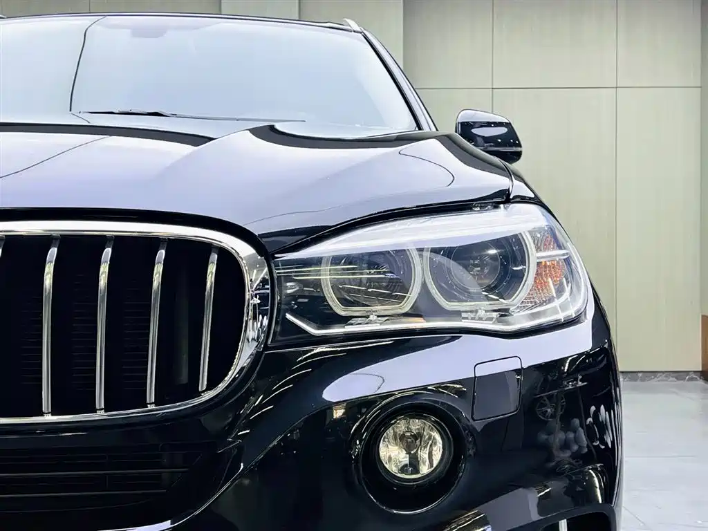 BMW X5 (Import) 2018 xDrive35i Elegant Model фото 7