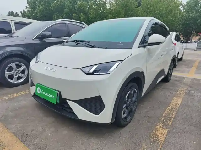  BYD Seagull 2025 Smart Drive Edition 405km Free Edition