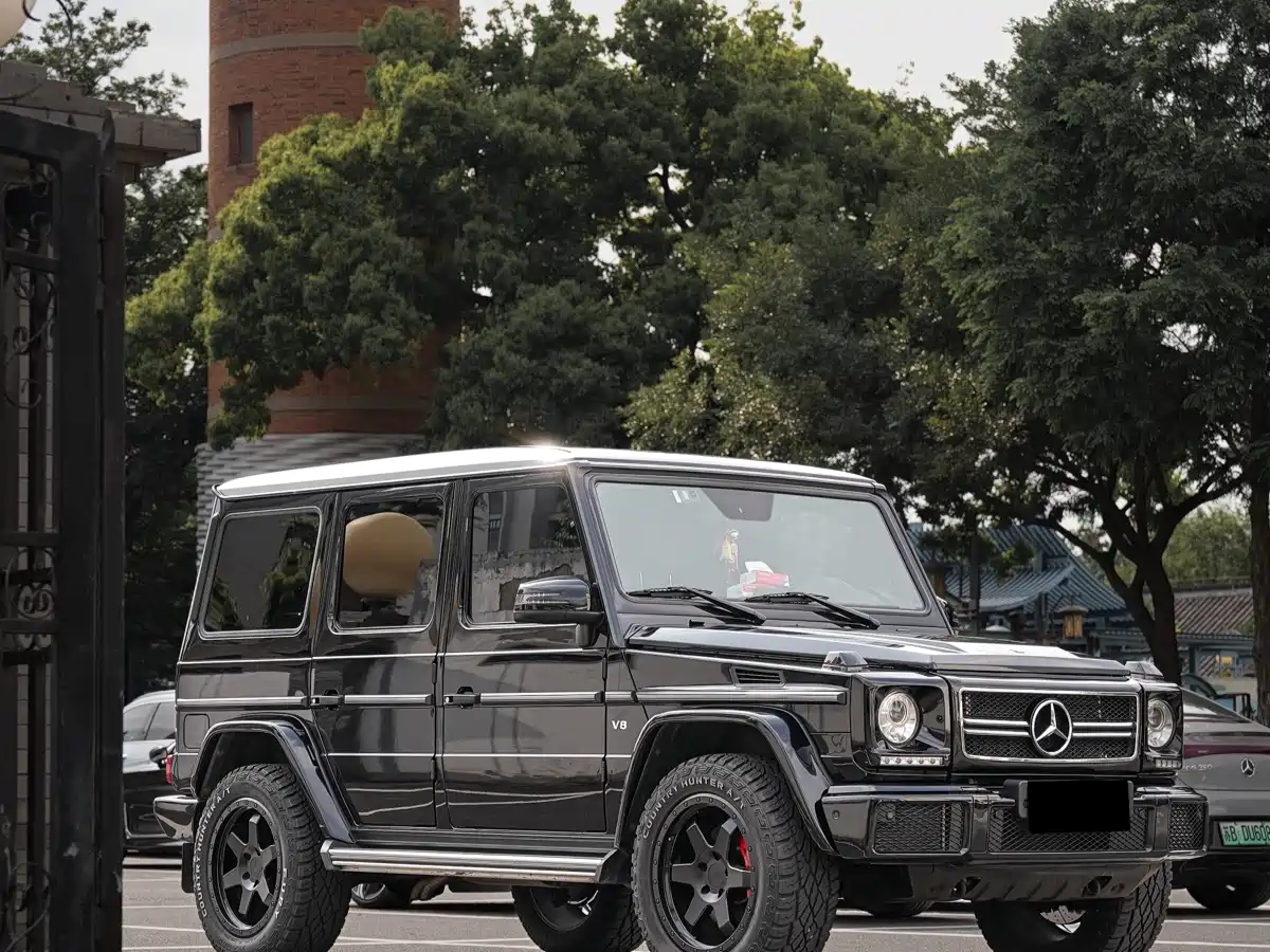 Mercedes-Benz G-Class 2016 G 500 фото 5