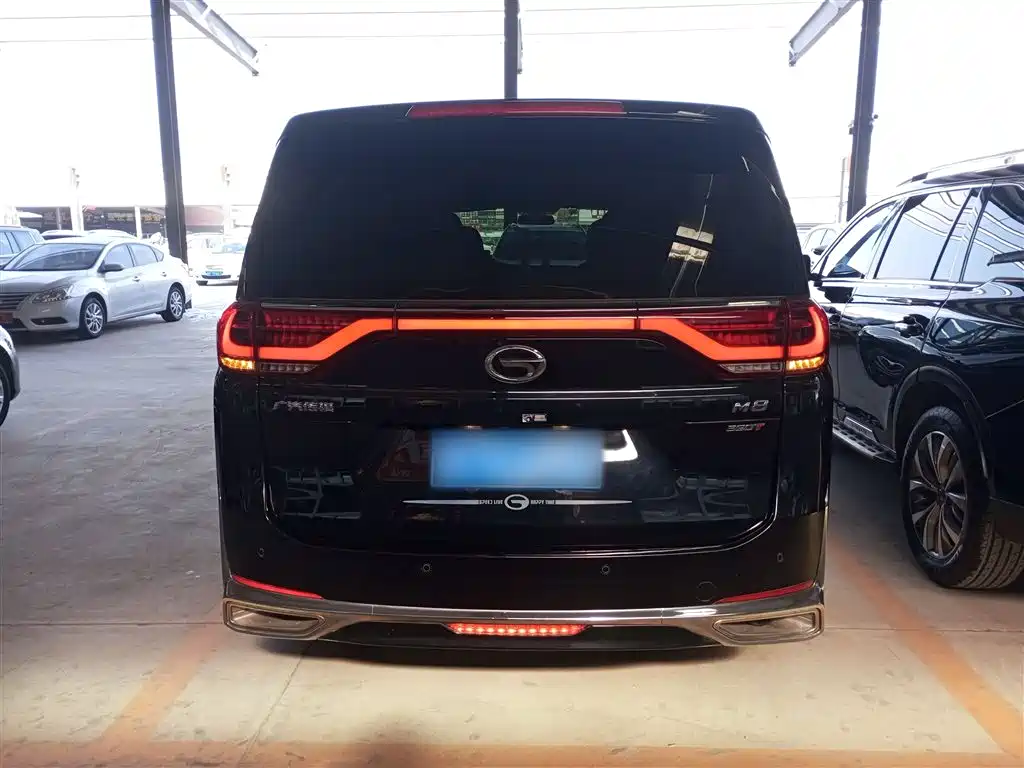 GAC Trumpchi Trumpchi M8 2023 Leading Series 390T Premium Edition фото 22