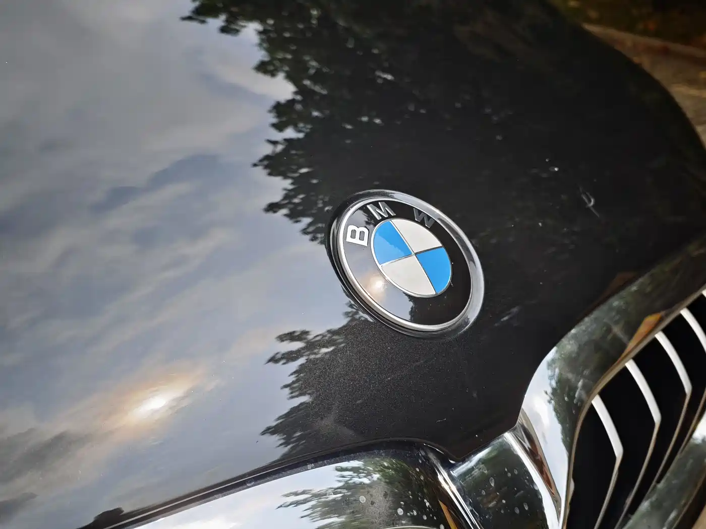BMW 5 Series 2021 530Li Leading Luxury Package фото 36