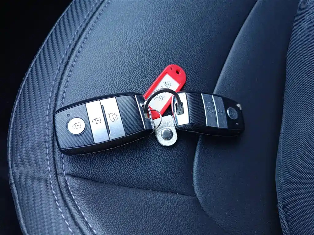 Kia Sportage 2015 2.0L Automatic 2WD DLX фото 9