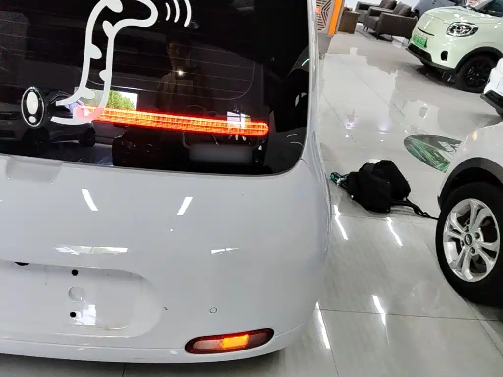 Ora White Cat 2022 2022 Upgraded 305km Luxury (NMC)