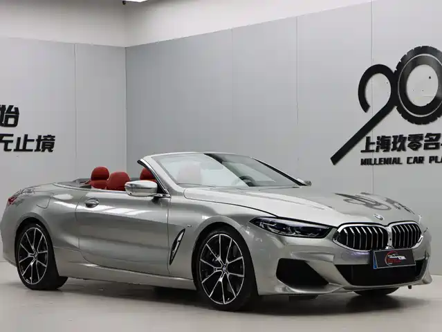 BMW 8 SERIES