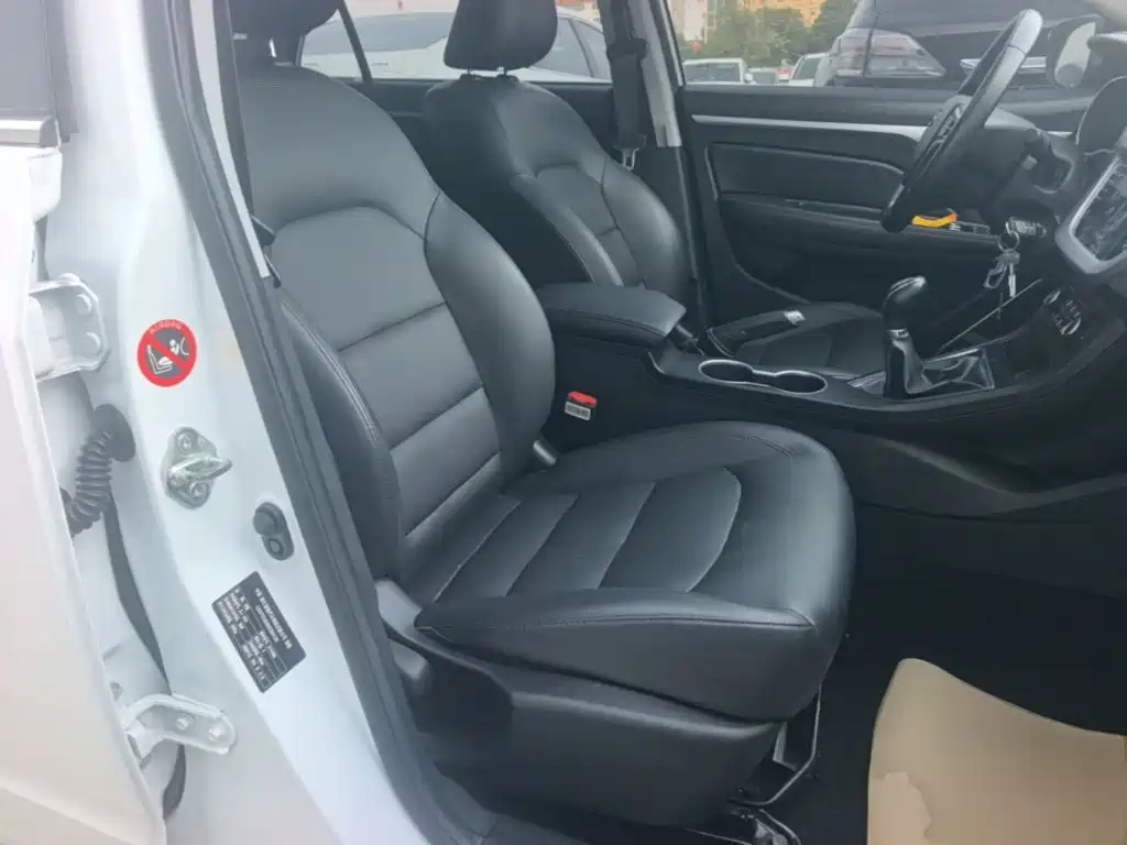 Фото 25 - Geely Vision