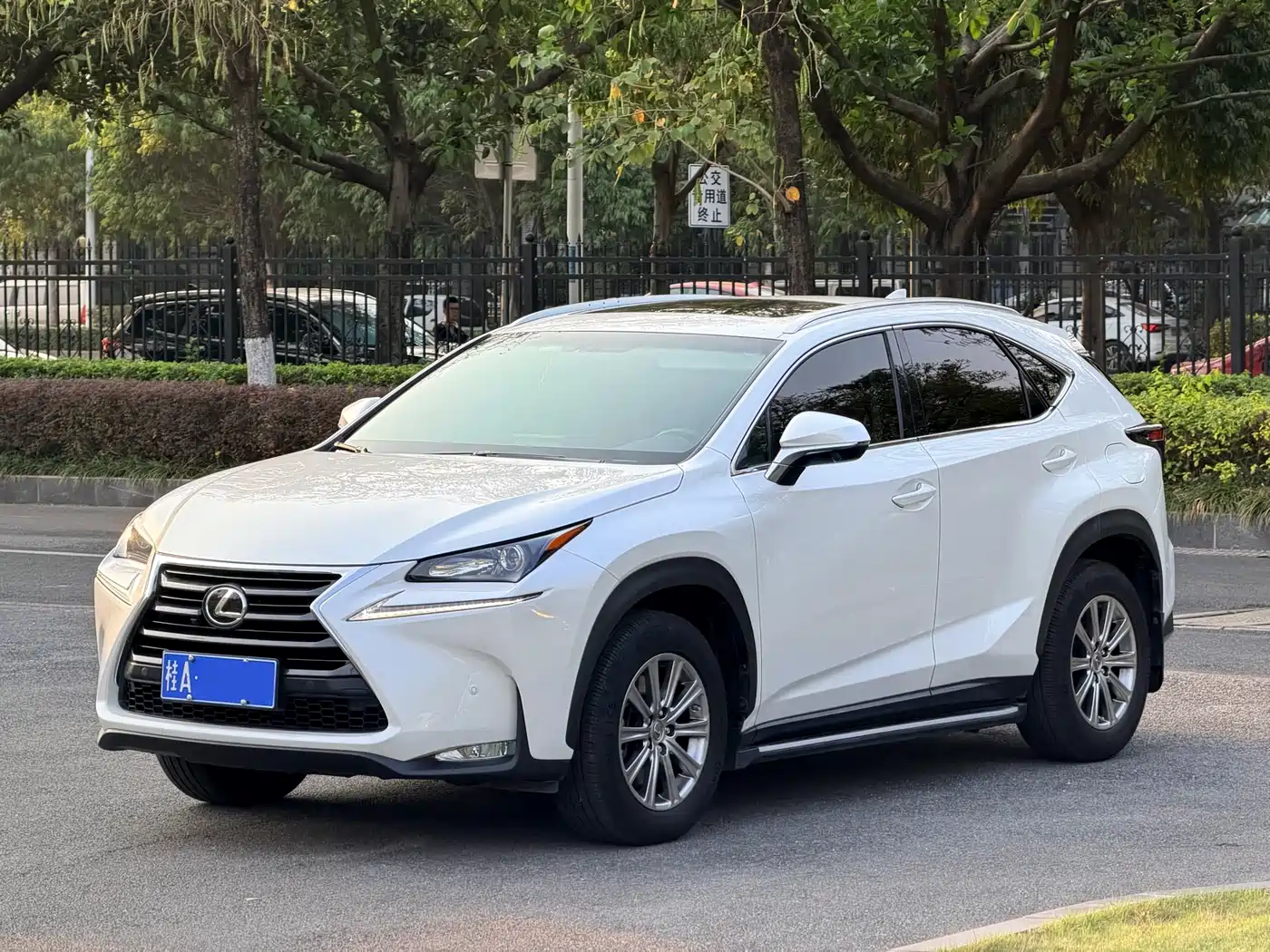 LEXUS NX