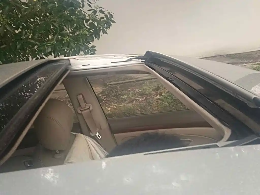 Photo 6 - Nissan Sylphy