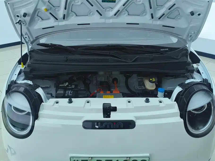 CHANGAN CHANGAN LUMIN