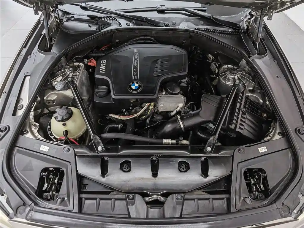 BMW 5 Series 2014 525Li Luxury Design Package фото 6