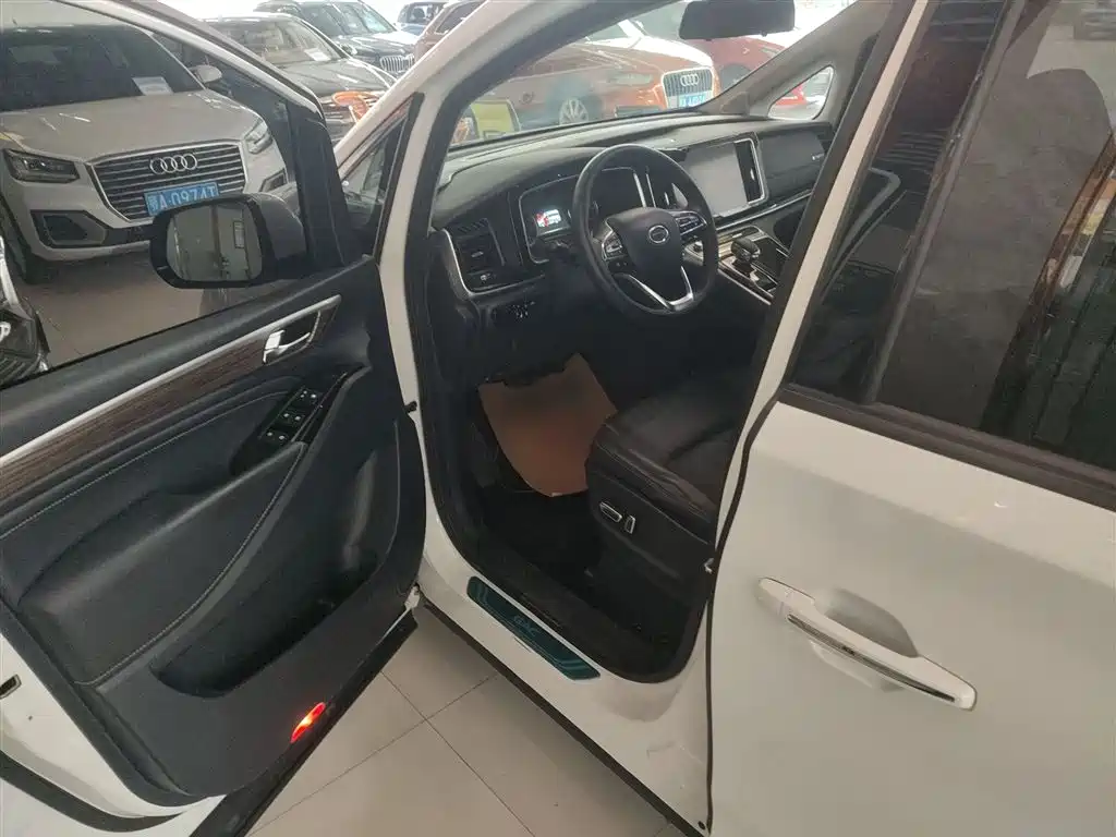 GAC Trumpchi Trumpchi M8 2021 Leading Show Series 390T Premium Edition фото 13