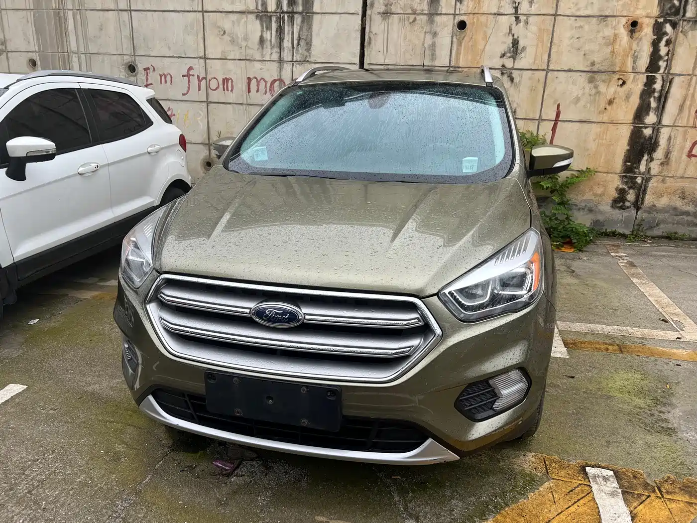 Фото 2 - Ford Kuga