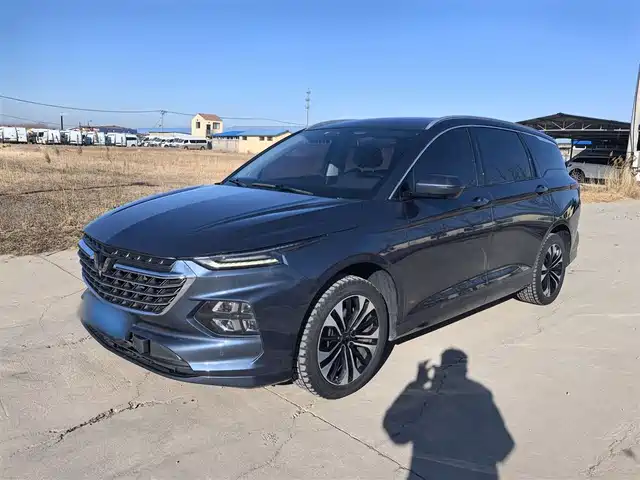  Wuling Motors Wuling Victory 2020 1.5T CVT Flagship