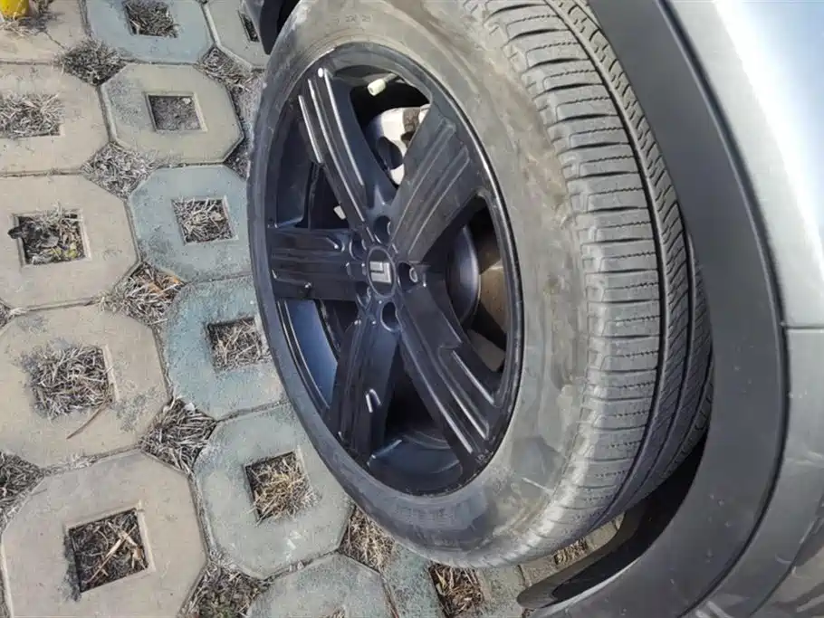 ROX POLAR STONE POLAR STONE 01