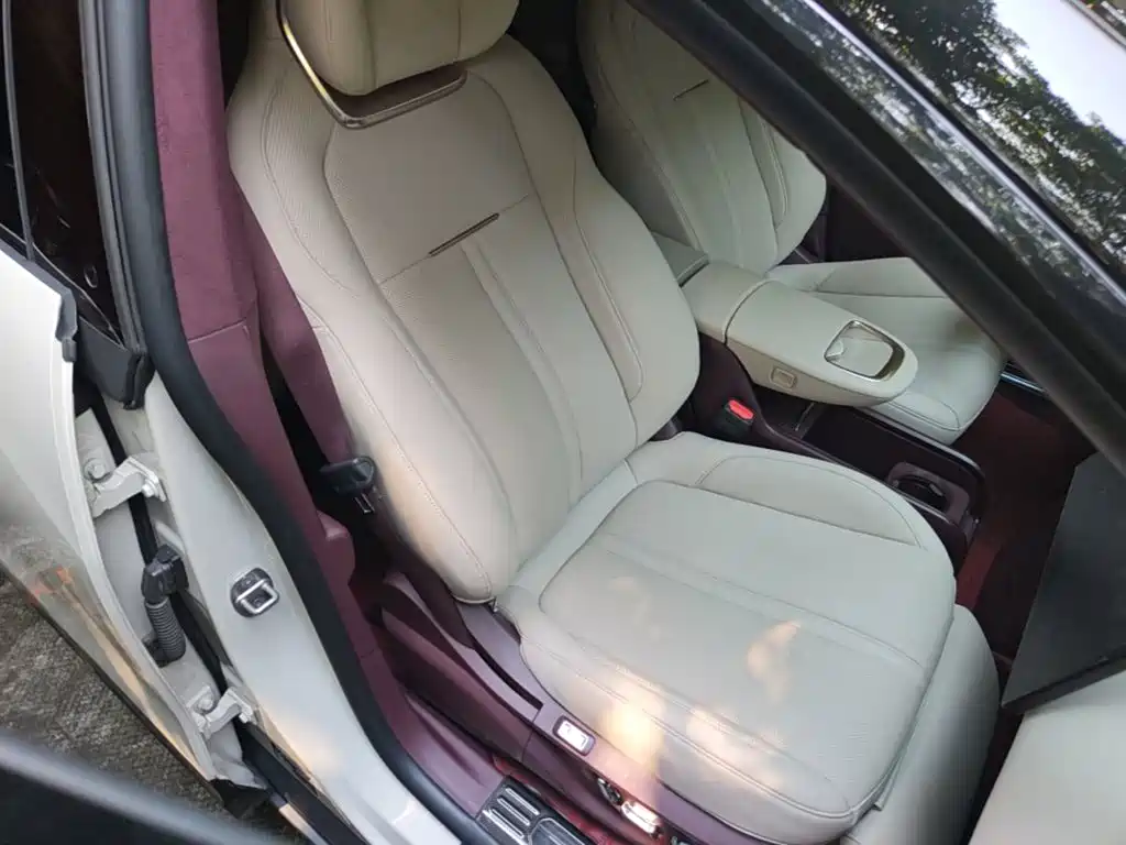 ZEEKR X 2023 2023 RWD YOU Edition 4-seater