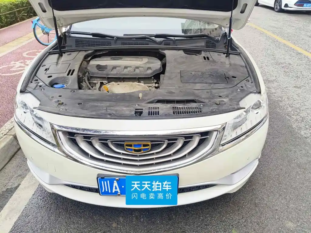 Geely Borui 2015 2015 2.4L Comfort