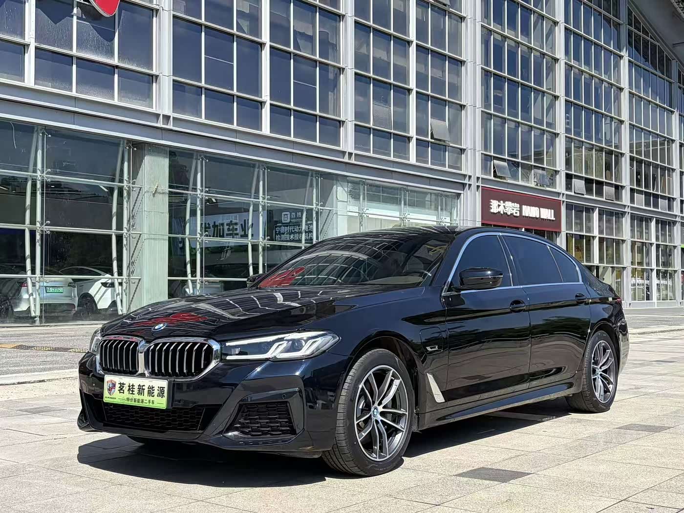 BMW 5 Series New Energy