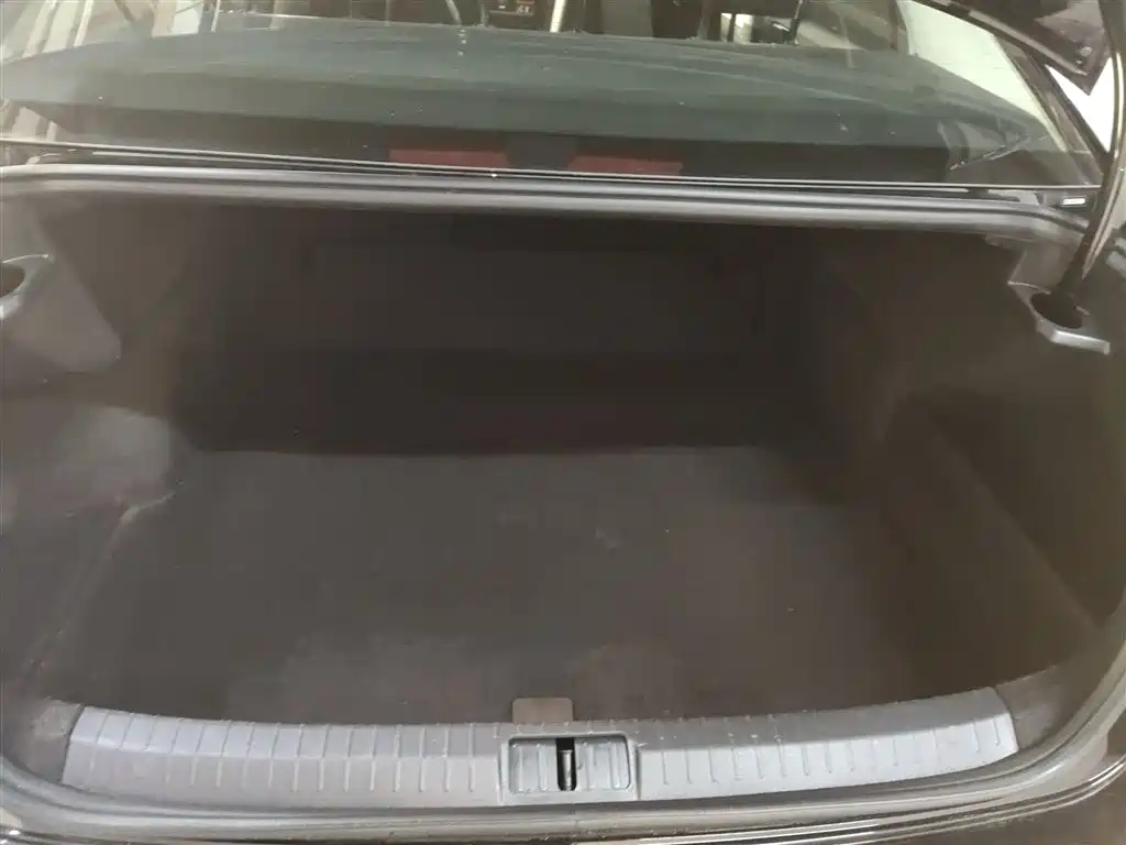 Volkswagen Magotan 2025 Popular Edition 280TSI DSG Comfort фото 9