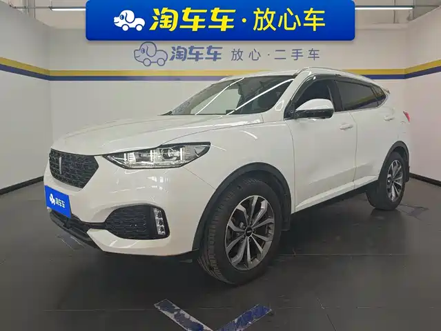 WEI PAI WEI BRAND VV6