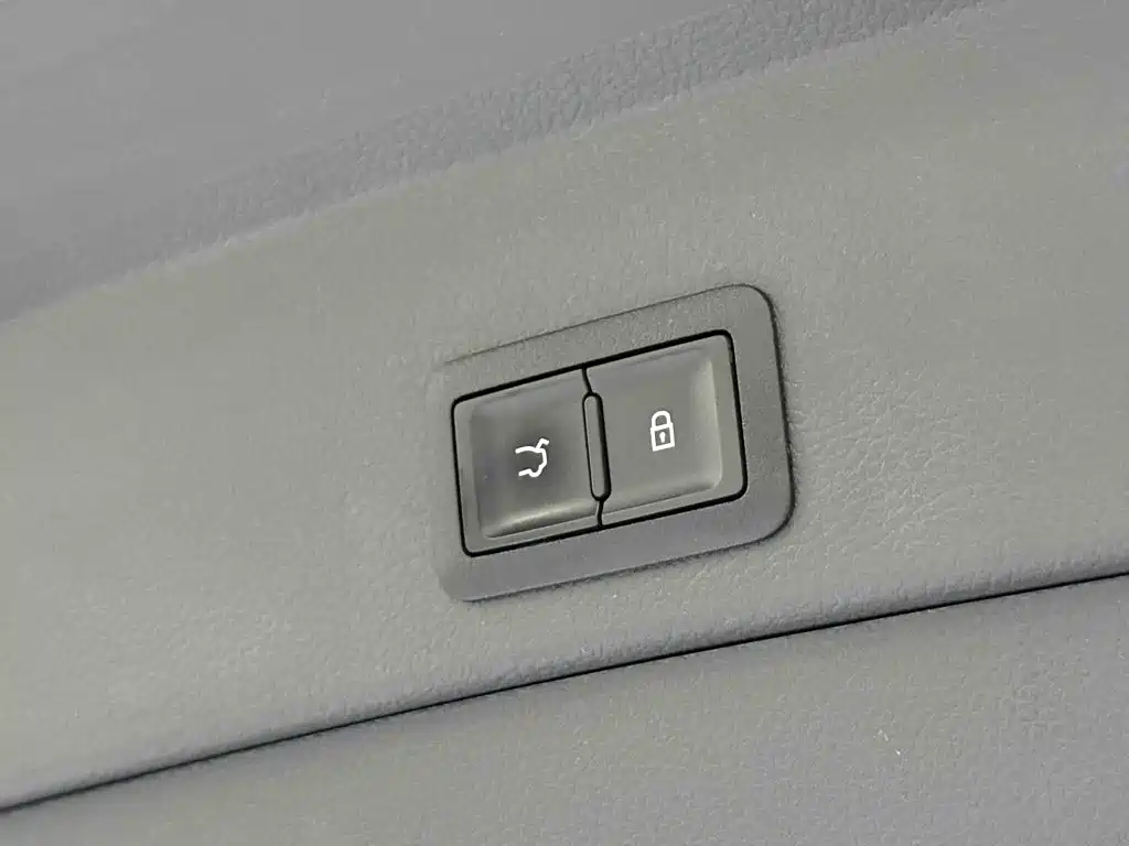 Hongqi E-HS9 2023 2022 690km Qi Xiang Edition (6-seater)