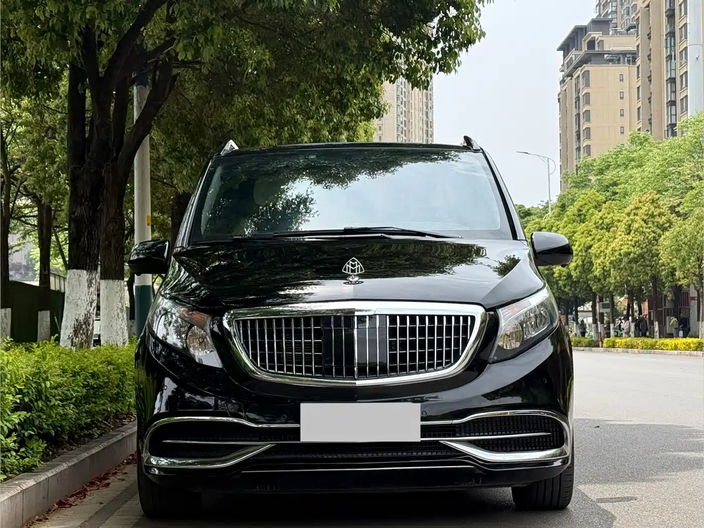 Mercedes-Benz Vito 2021 2.0T Elite 7-Seater фото 2