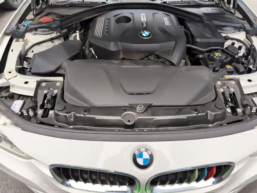 BMW 3 Series 2017 320Li M Sport фото 11